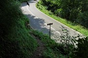 71 Dal bosco arrivo sulla strada asfaltata